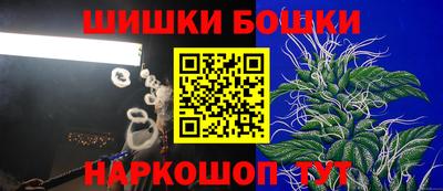 гидропоника Новозыбков