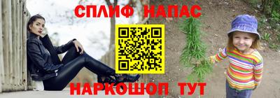 гидропоника Новозыбков
