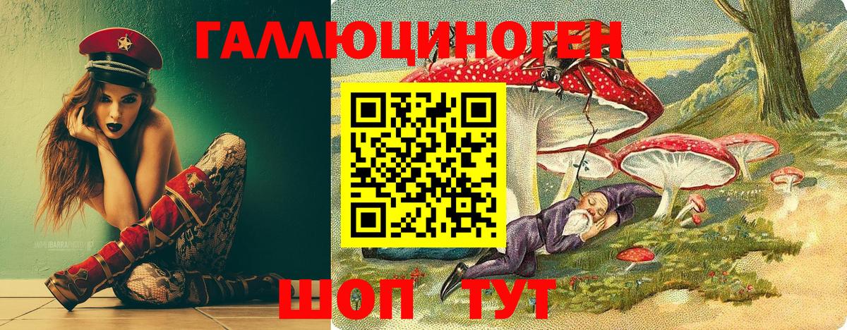 Псилоцибиновые грибы Cubensis Энгельс