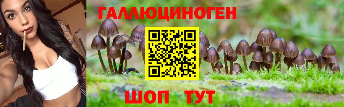 Псилоцибиновые грибы MAGIC MUSHROOMS  Псилоцибиновые грибы Psilocybine cubensis  Вход с VPN  Энгельс 